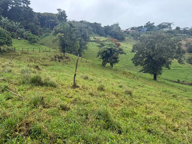 VENDO LINDA PROPIEDAD MONTEVERDE SANTA ELENA - Imagen 3
