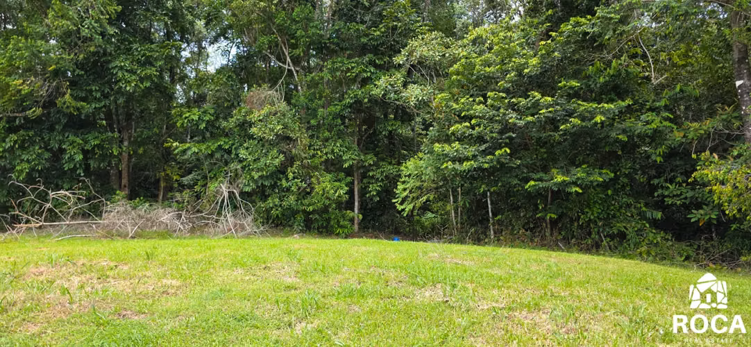 Venta de terreno en Barucito entre Escaleras y San Salvador - Imagen 16