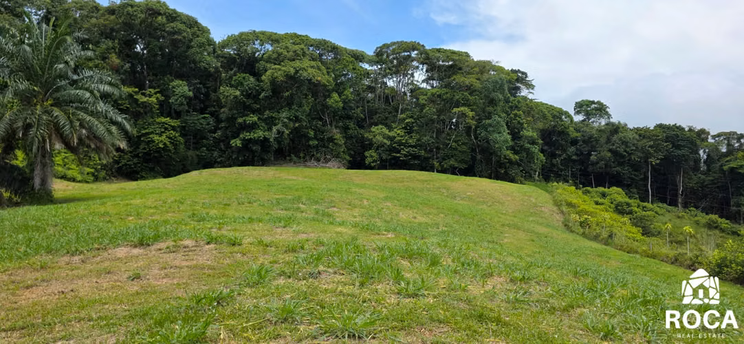 Venta de terreno en Barucito entre Escaleras y San Salvador - Imagen 9