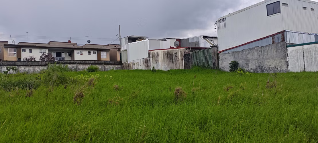 Hermoso Lote Purral Abajo Mixto- RA - Imagen 8