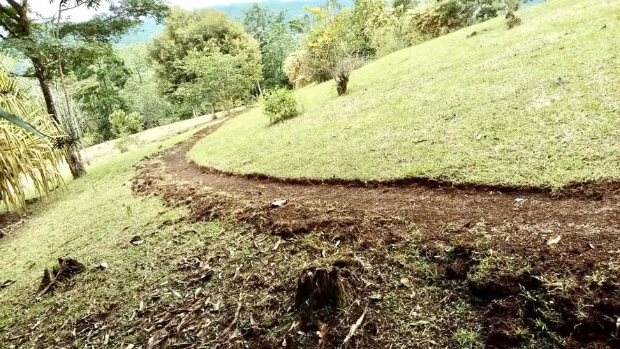 Se vende finca San Ramón San Lorenzo 75 mill colones GANGA - Imagen 16