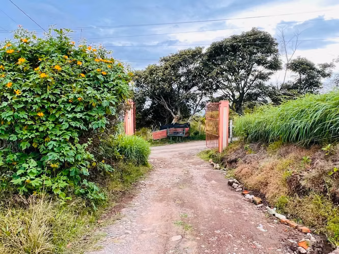 Venta de Quinta en San Rafael Cartago con 4 apartamentos, 2 bodegas y 1 casa
