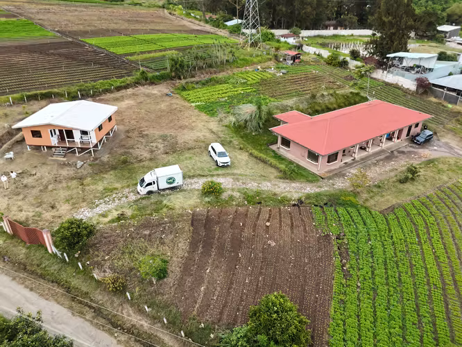 Venta de Quinta en San Rafael Cartago con 4 apartamentos, 2 bodegas y 1 casa