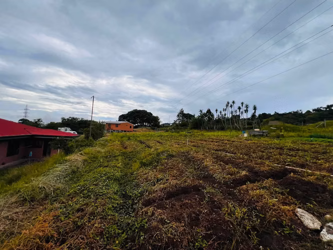 Venta de Quinta en San Rafael Cartago con 4 apartamentos, 2 bodegas y 1 casa