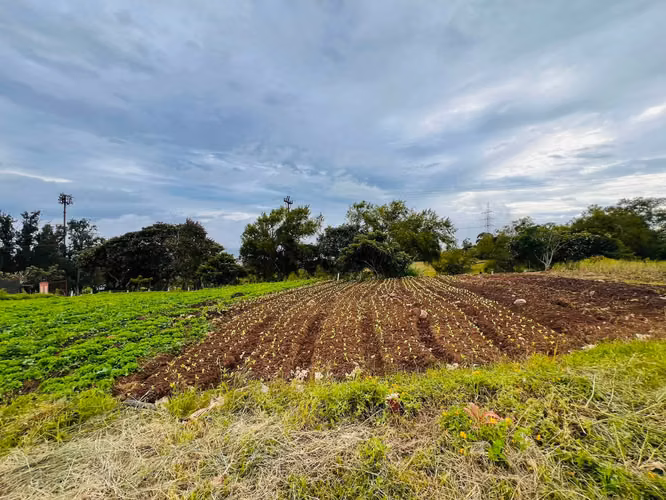 Venta de Quinta en San Rafael Cartago con 4 apartamentos, 2 bodegas y 1 casa