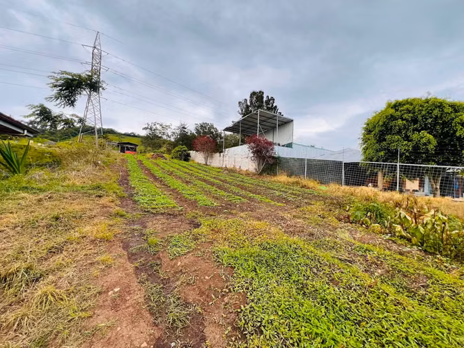 Venta de Quinta en San Rafael Cartago con 4 apartamentos, 2 bodegas y 1 casa