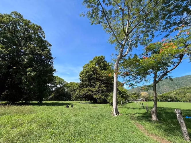 Terreno de 5,172 m² en Vigía – ¡Con Proyecto Aprobado CFIA y Listo para Construir!m