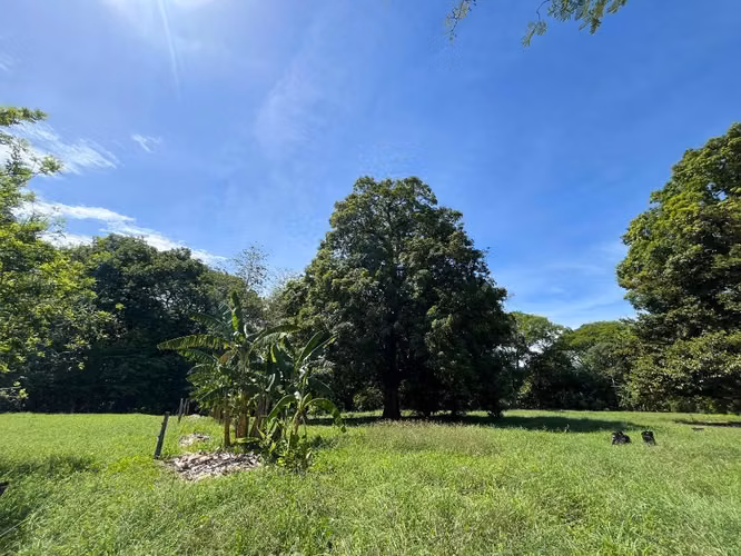 Terreno de 5,172 m² en Vigía – ¡Con Proyecto Aprobado CFIA y Listo para Construir!m