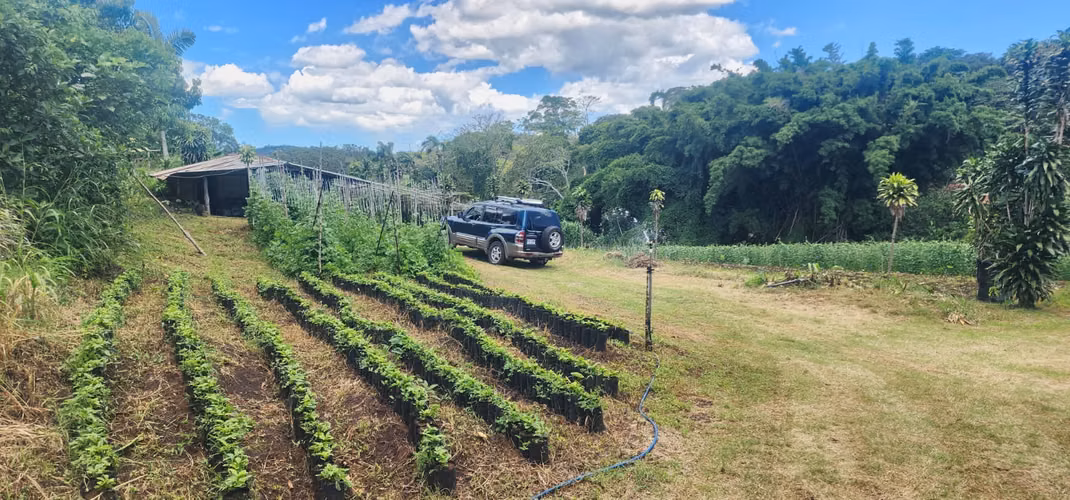 Propiedad con Agua Todo el Año, Ideal para Vivero o Agricultura