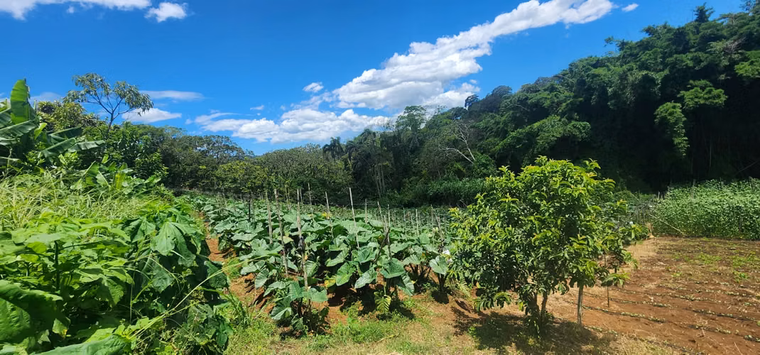 Propiedad con Agua Todo el Año, Ideal para Vivero o Agricultura