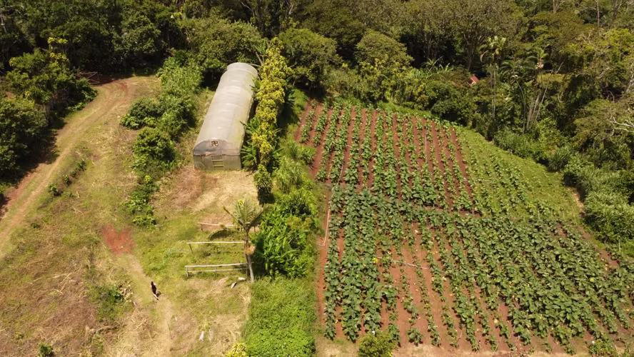 Propiedad con Agua Todo el Año, Ideal para Vivero o Agricultura