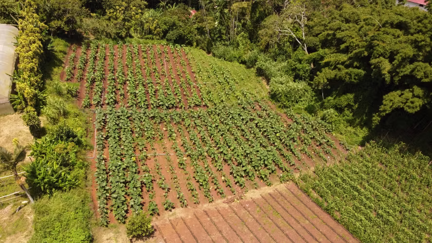 Propiedad con Agua Todo el Año, Ideal para Vivero o Agricultura