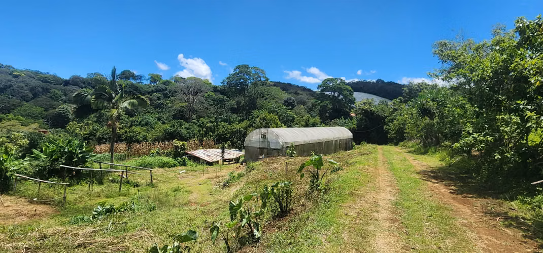 Propiedad con Agua Todo el Año, Ideal para Vivero o Agricultura