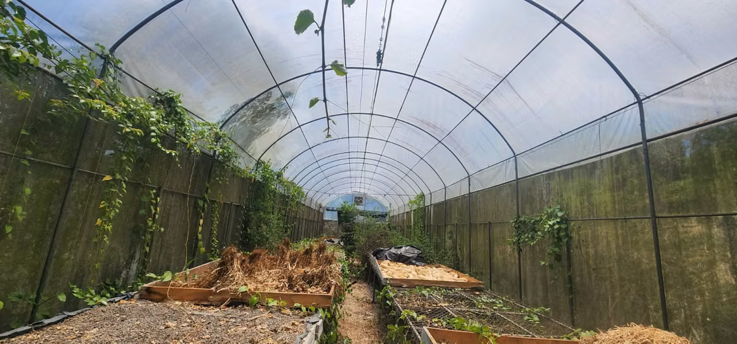 Propiedad con Agua Todo el Año, Ideal para Vivero o Agricultura