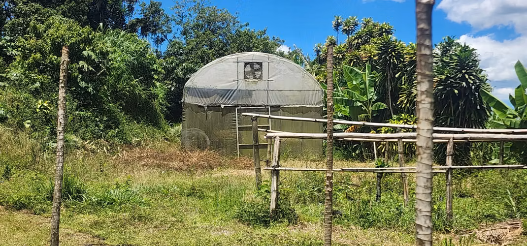 Propiedad con Agua Todo el Año, Ideal para Vivero o Agricultura