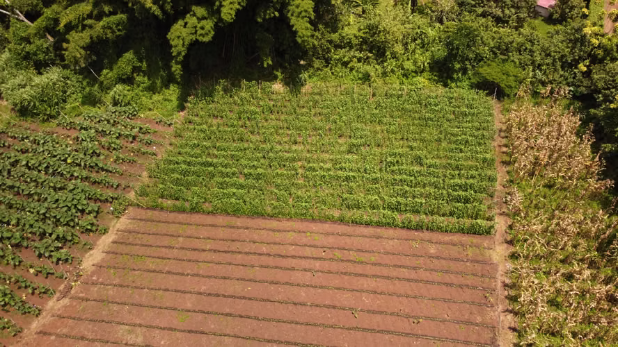Propiedad con Agua Todo el Año, Ideal para Vivero o Agricultura