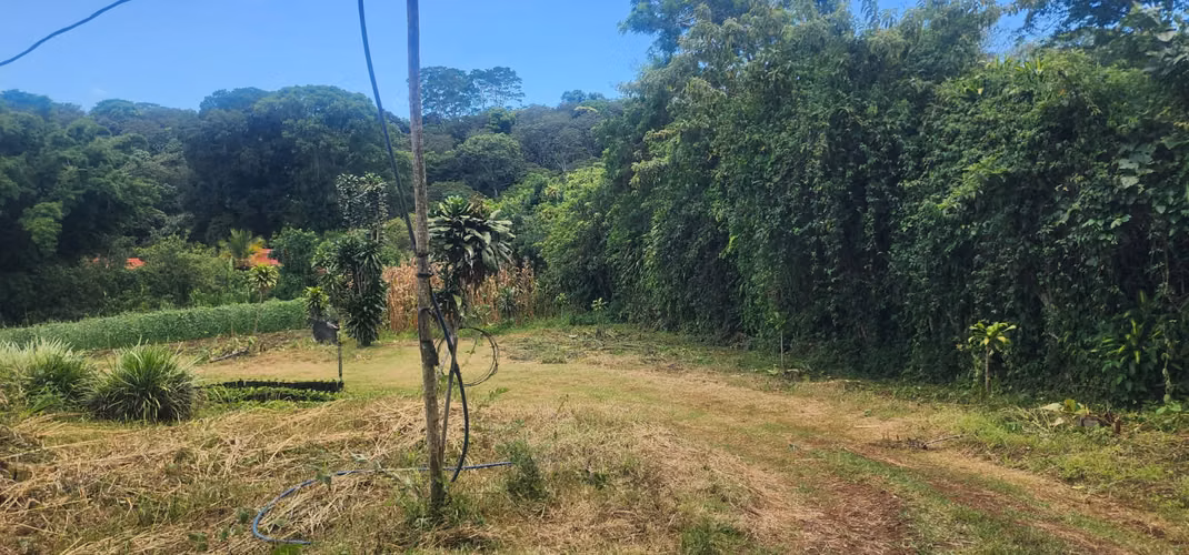 Propiedad con Agua Todo el Año, Ideal para Vivero o Agricultura