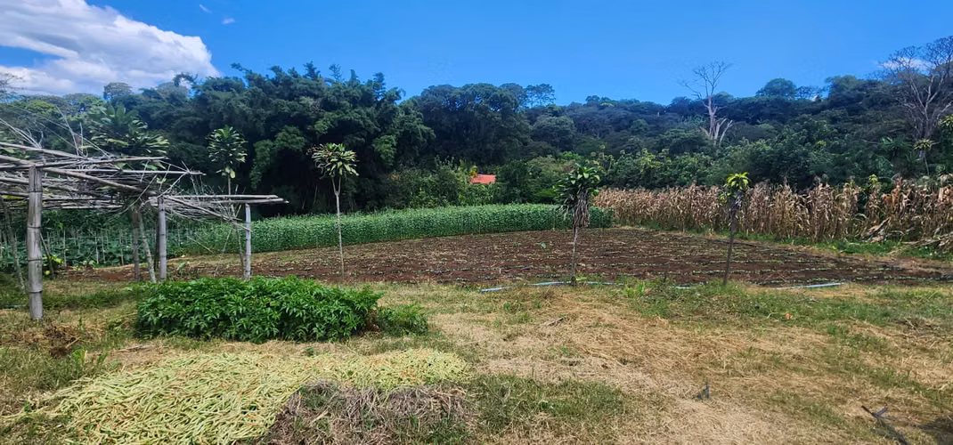 Propiedad con Agua Todo el Año, Ideal para Vivero o Agricultura