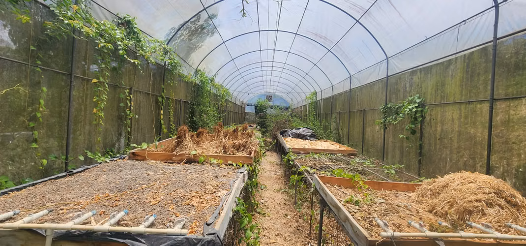 Propiedad con Agua Todo el Año, Ideal para Vivero o Agricultura
