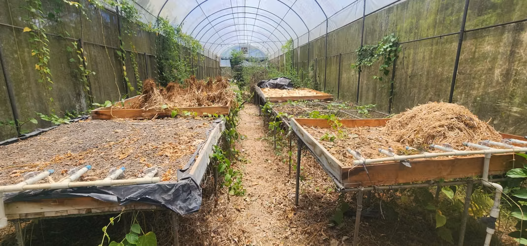 Propiedad con Agua Todo el Año, Ideal para Vivero o Agricultura