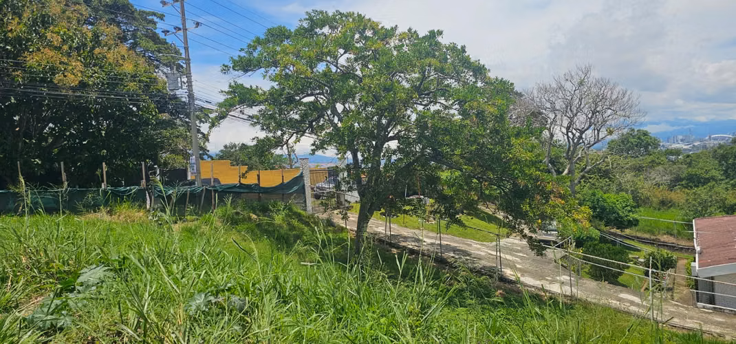 Lote en Venta Escazú 1.750 m² Cerca de Distrito 4 y Cerro Alto - Imagen 8