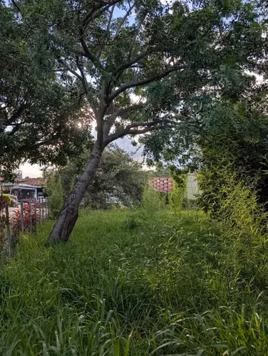Lote de 400 m2 en San Francisco  de Heredia - uso mixto - Imagen 2