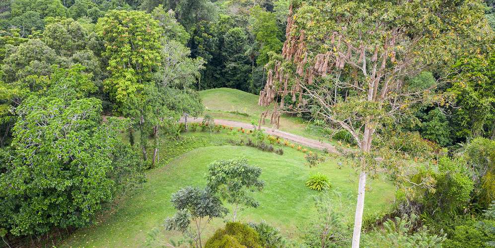 Lote en Talamanca Puerto Viejo Bio Caribe - Ecoaldea privada - Fibra - Imagen 3
