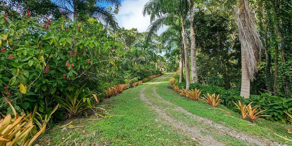 Lote en Talamanca Puerto Viejo Bio Caribe - Ecoaldea privada - Fibra - Imagen 5