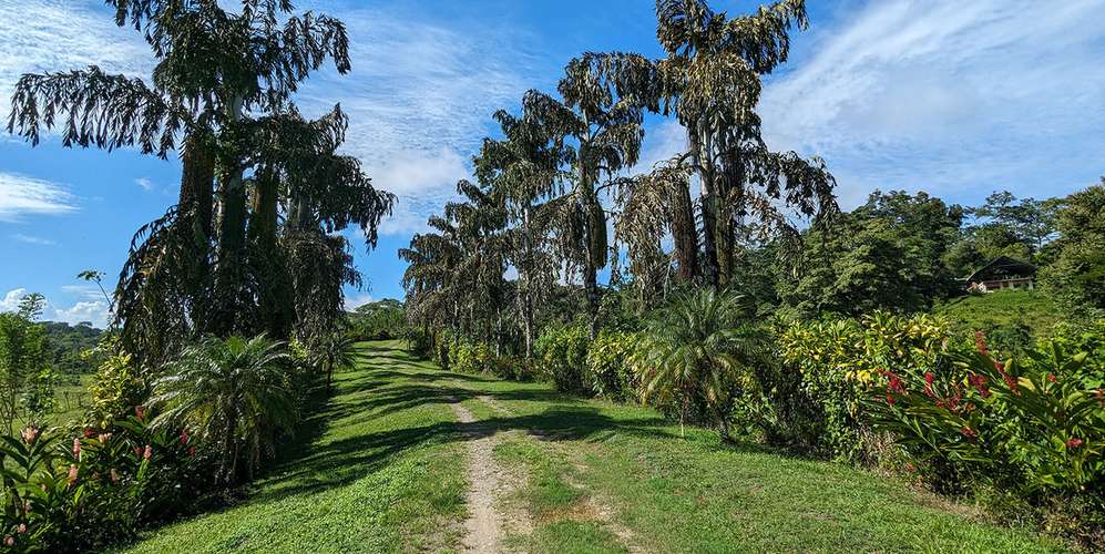Lotes en Talamanca Puerto Viejo Bio Caribe - Naturaleza y fibra óptica