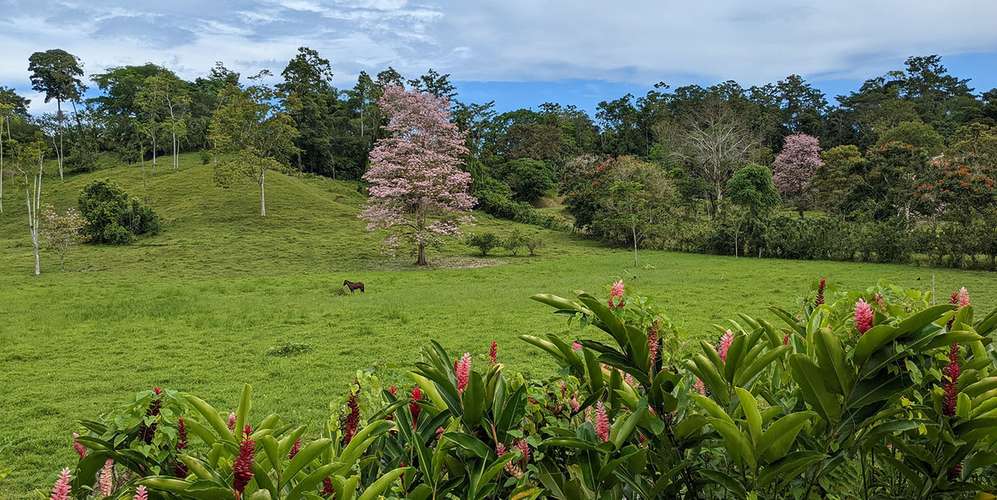 Lotes en Puerto Viejo Talamanca - Bio Caribe - Naturaleza y fibra
