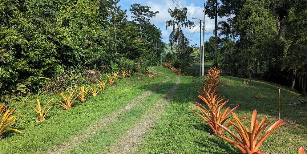 Lotes en Puerto Viejo Talamanca - Bio Caribe - Naturaleza y fibra
