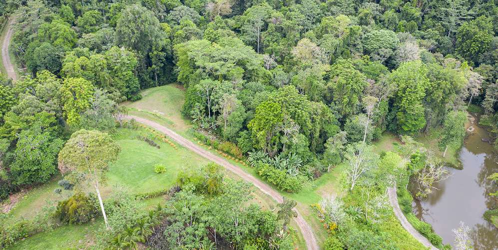 Lotes en Talamanca Puerto Viejo Bio Caribe - Naturaleza y fibra óptica