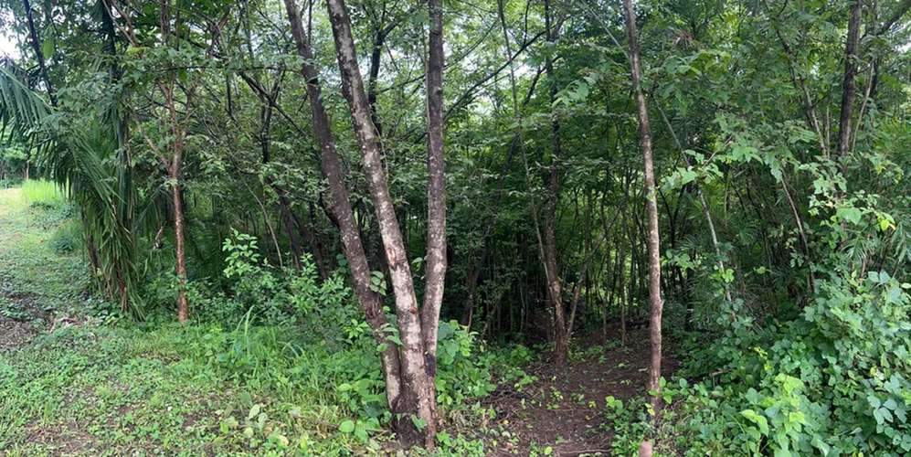 Lotes en Nosara Guanacaste Shift Esperanza - Infraestructura incluida