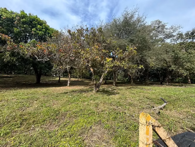 10,346 m² Lot with Fruit Trees in Orotina, Alajuela