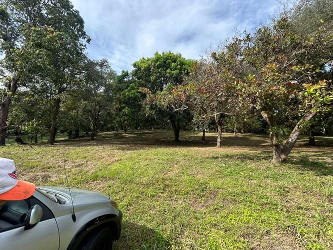 Terreno de 10,346 m² con árboles frutales en Orotina, Alajuela
