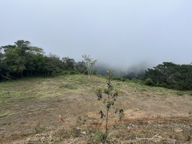 Terreno en Venta — Berlín, San Ramón de Alajuela 10,000 m²