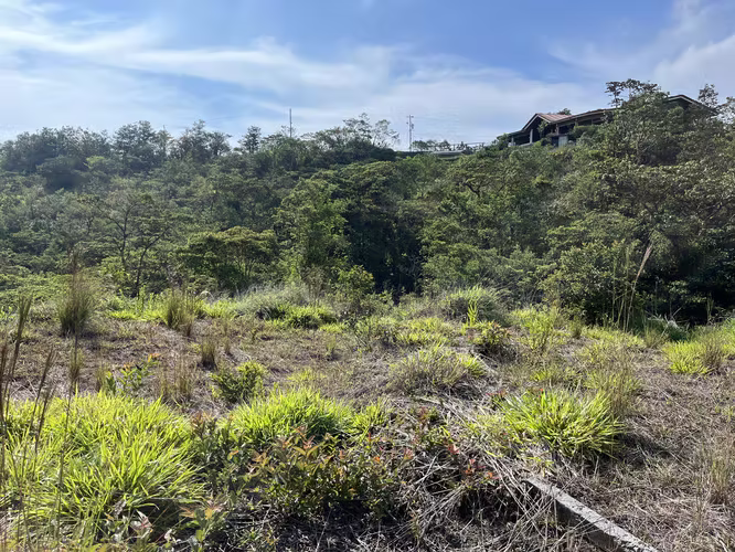 Terreno en Venta — Berlín, San Ramón de Alajuela 10,000 m²