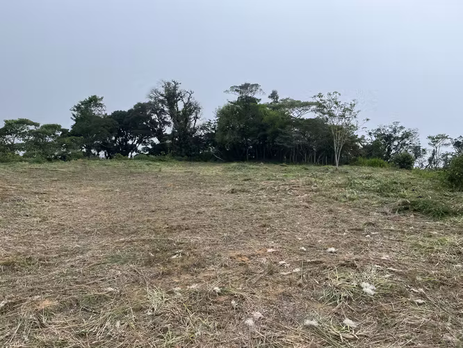Terreno en Venta — Berlín, San Ramón de Alajuela 10,000 m²