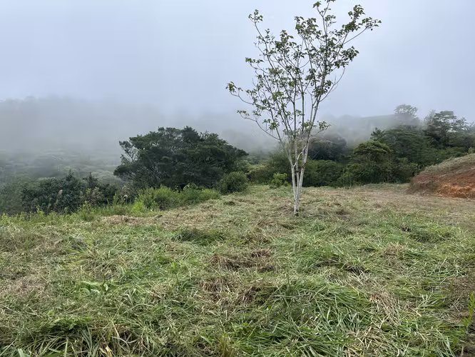 Terreno en Venta — Berlín, San Ramón de Alajuela 10,000 m²
