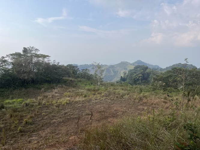 Terreno en Venta — Berlín, San Ramón de Alajuela 10,000 m²