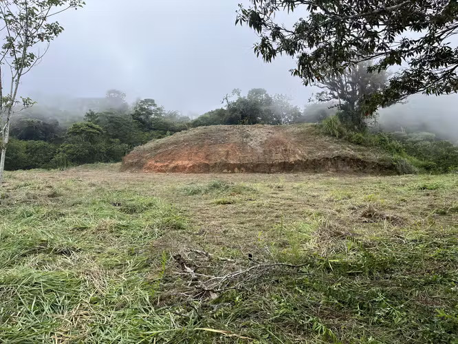 Terreno en Venta — Berlín, San Ramón de Alajuela 10,000 m²