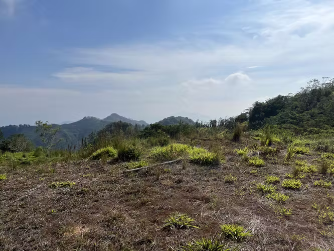 Terreno en Venta — Berlín, San Ramón de Alajuela 10,000 m²
