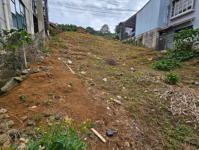 Lote en Venta San Marcos de Tarrazú 274 m² – 19.5 Millones