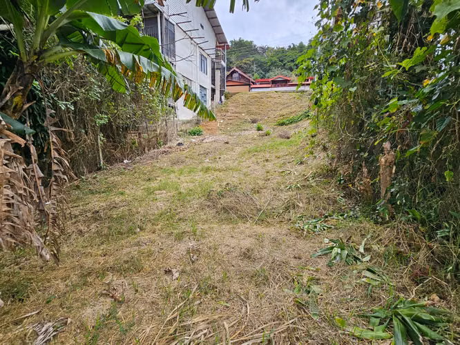 Lote en Venta San Marcos de Tarrazú 274 m² – 19.5 Millones