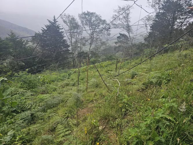 Finca 2.1 Ha con Naciente en León Cortés | 98.5 Millones