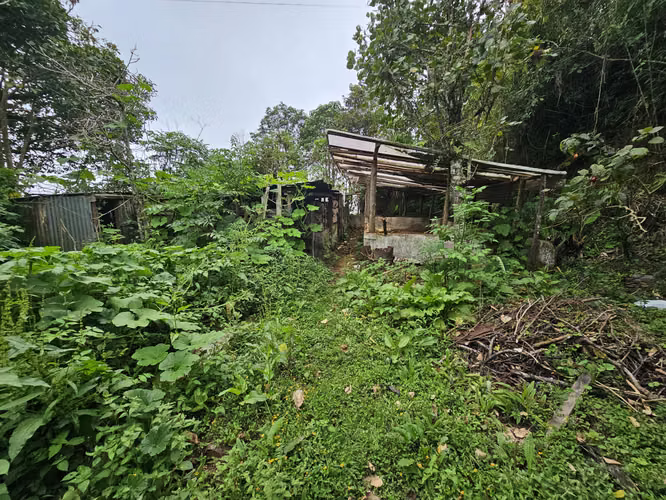 Finca 2.1 Ha con Naciente en León Cortés | 98.5 Millones