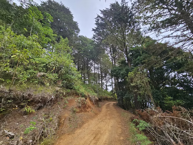 Finca 2.1 Ha con Naciente en León Cortés | 98.5 Millones