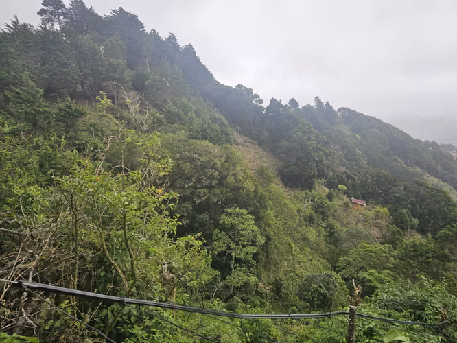 Finca 2.1 Ha con Naciente en León Cortés | 98.5 Millones