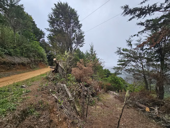Finca 2.1 Ha con Naciente en León Cortés | 98.5 Millones