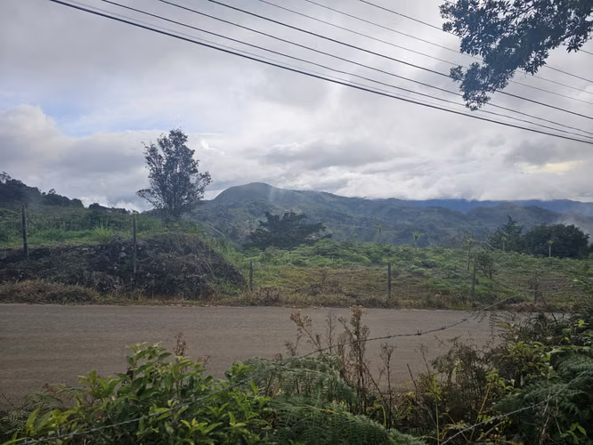 Finca 2.1 Ha con Naciente en León Cortés | 98.5 Millones